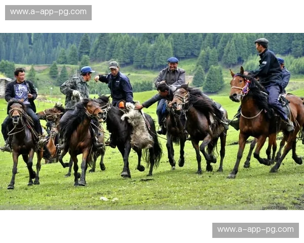 猛龙vs黄蜂:当“加拿大航空”遇上“飞翔的黄蜂”,一场惊心动魄的空中对决!